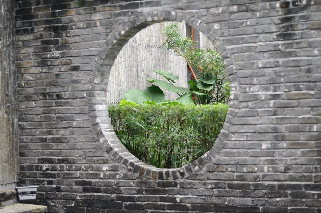 green leaf plants near gray concrete wall